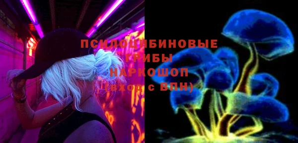 ПСИЛОЦИБИНОВЫЕ ГРИБЫ Алексеевка