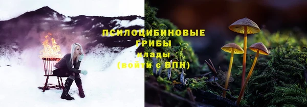 ПСИЛОЦИБИНОВЫЕ ГРИБЫ Алексеевка