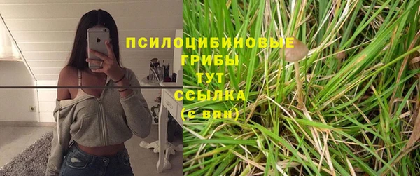 а пвп мука Алзамай