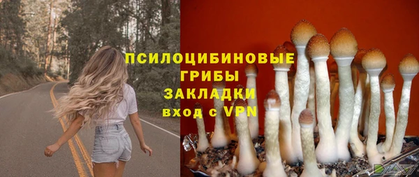 крисы Абаза