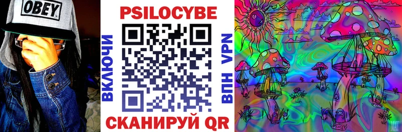 Галлюциногенные грибы Psilocybine cubensis  где можно купить   маркетплейс наркотические препараты  Кизилюрт 