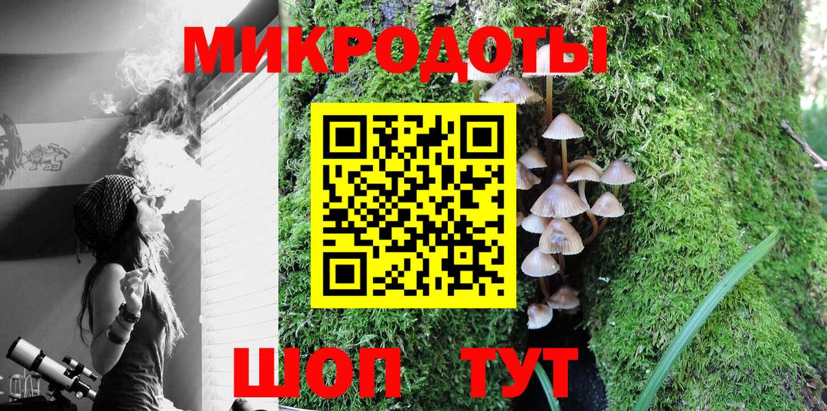 Кизилюрт  Псилоцибиновые грибы Psilocybe  цена наркотик  Вход с VPN 