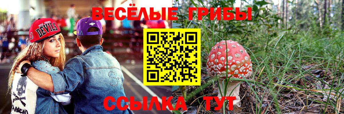 Галлюциногенные грибы MAGIC MUSHROOMS Кизилюрт