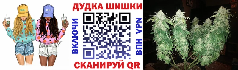 купить сайты кракен рабочий сайт Бошки Шишки Bruce Banner Кизилюрт